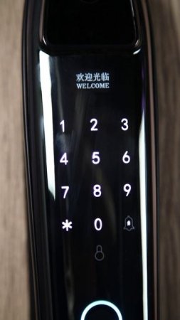 smart lock dz888