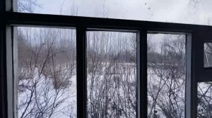 Вологда
с/т троллейбус