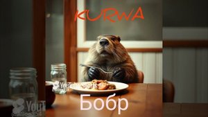 Песня _ Бобёр  Kurwa!_ (Кавер на Slava Skripka)#музыка