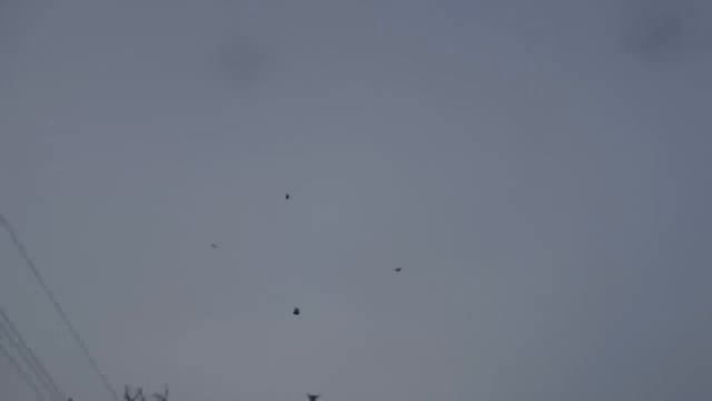 мороз.снег.2часа полета.о выставке смотреть онлайн