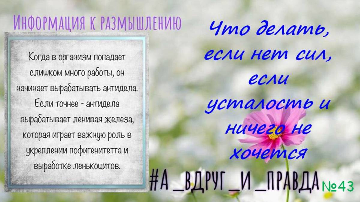 Усталость, прокрастинация