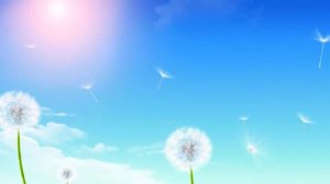 Футаж HD. Фон одуванчики