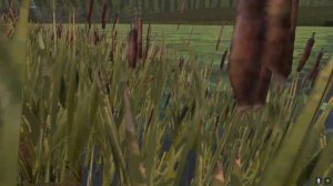 нашли трактор в болоте