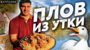 ПЛОВ ИЗ МЯСА УТКИ / РЕЦЕПТ от СЕРГО  (ENG SUB)
