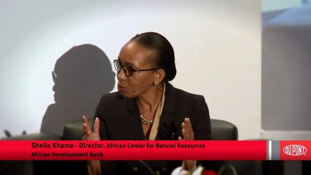 DuPont Panel at 2014 Mining Indaba Video Announcement смотреть онлайн