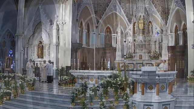 April 16, 2023: Divine Mercy Sunday смотреть онлайн