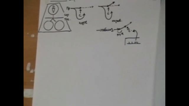 Стабилизация и структурирование  Лето 2008