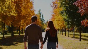 Улыбка осени, Босса Нова