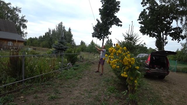 ОЖИВЛЕНИЕ ЗАПОРОЖЦА ПОШЛО НЕ ПО ПЛАНУ. АТТРАКЦИОН НА УЧАСТКЕ.