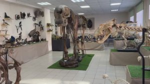 Анатомический музей