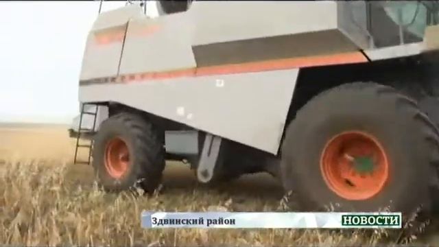 С полей Новосибирской области убрано уже почти два миллиона зерновых смотреть онлайн
