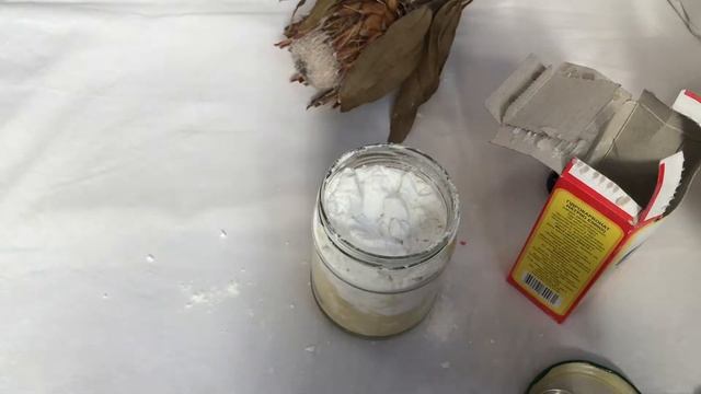 Ecoshortfilms 002 - Чистящий порошок, который может сделать каждый - Виктория Овчинникова смотреть онлайн