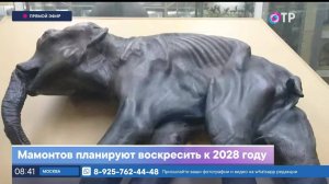 Мамонтов планируют воскресить к 2028 году