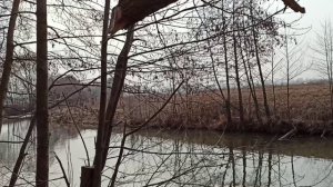 река Плетёнка, Рязань