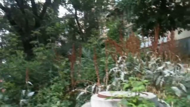 Влог : САМАРА / КРАСОТА и ЖЕСТЬ / Трещины в Земле !