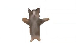 шни шна шнапи шнапи шнапи шнап 4K 60FPS