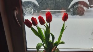 8 марта на даче. Уют и уединение.