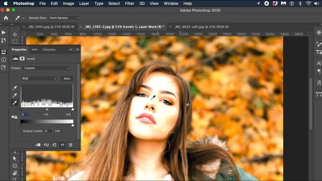 What are Levels in Photoshop? | Professional Skin Retouching In Photoshop Cc 2020