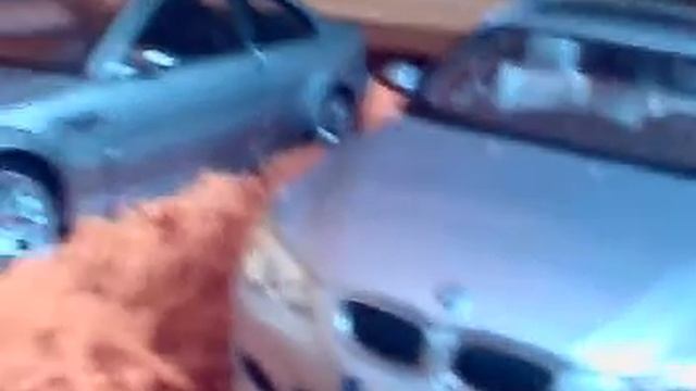 My 1/18 diecast collection смотреть онлайн