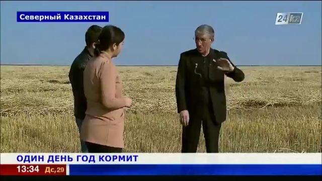 Аграрии Северного Казахстана борются за урожай смотреть онлайн