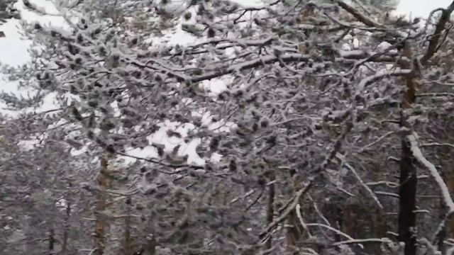 28 января 2021 г. смотреть онлайн