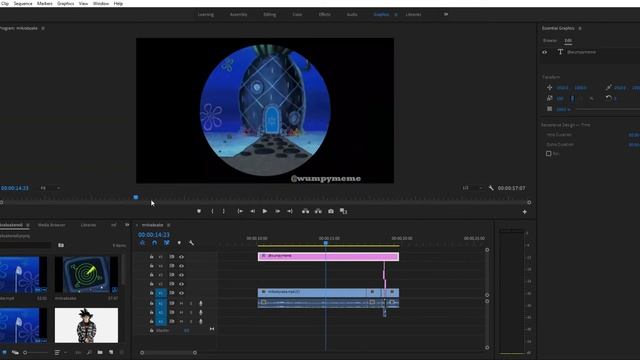 Adobe Premiere Pro 2020 Meme 1