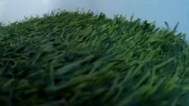 рыбалка в ашдоде смотреть онлайн