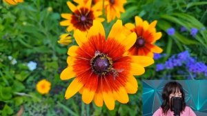 Милена застыла, увидев в коридоре больницы доктора, которого она бросила ради миллиардера...