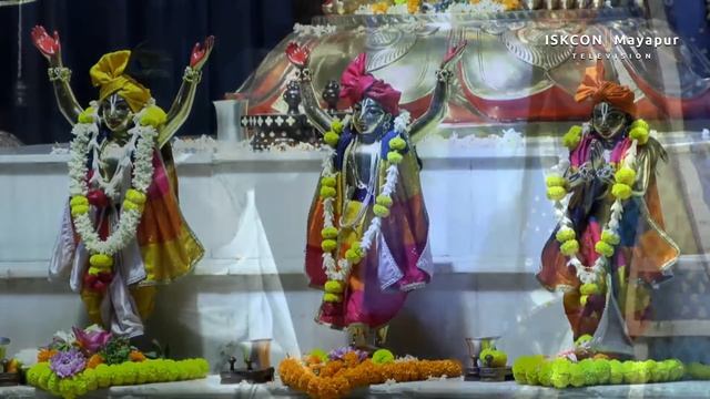 Mangal Arati Sri Dham Mayapur - November 25, 2023 смотреть онлайн