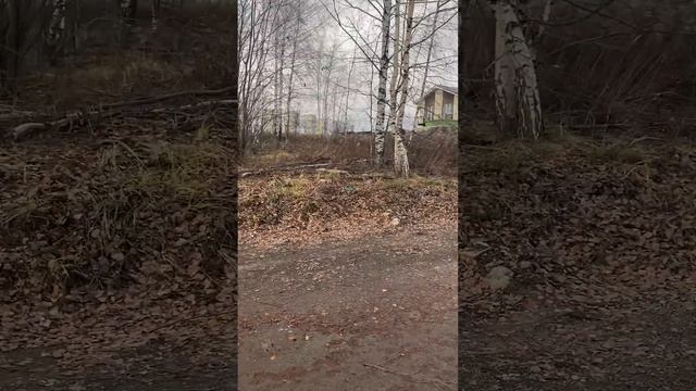 Земельный участок ИЖС 10 сот - Нижний Новгород, Советский р-н, НАИЗ УТЕЧИНО, участок №2 смотреть онлайн