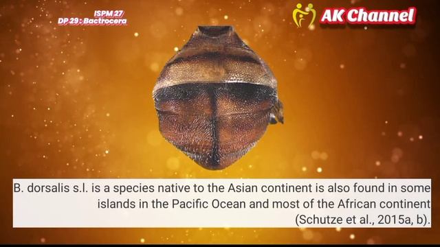 Distribution and Host of Bactrocera dorsalis Complex in The World смотреть онлайн