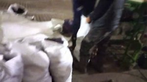 упаковка картофеля и овощей в сетку