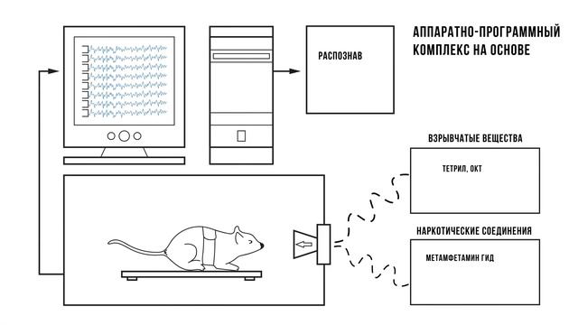 Анимация инфографики лабораторного оборудования смотреть онлайн