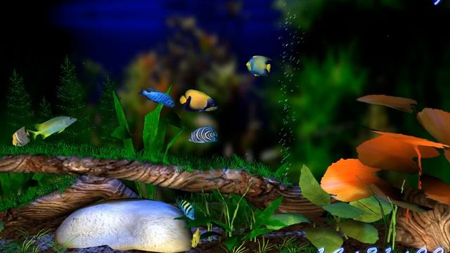 3D Bungalow Aquarium Screensaver смотреть онлайн