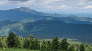Алтай, по новой асфальтированной дороге на Каракольские озера, возле с.Урлу-Аспак 18 участков