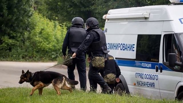 В Подмосковье заминировали четыре вуза, колледж и базу отдыха! смотреть онлайн