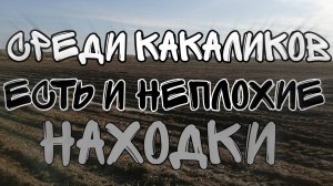 СРЕДИ КАКАЛИКОВ ЕСТЬ И НЕПЛОХИЕ НАХОДКИ. ПОИСК СТАРИНЫ С ЭКВИНОКС 800.