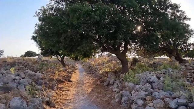 🇬🇷 Kos, Greece: How to travel comfortably with only 200€? 🇬🇷 [EN] смотреть онлайн