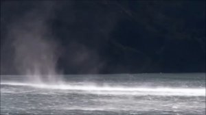 Поклонюсь Тебе Иисус ( минус )