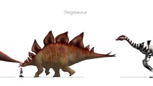 Dinosaurs in Dinomaster   Size Comparison