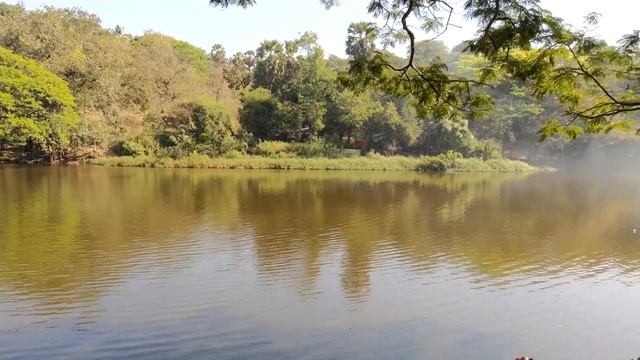 Whats app status 7 смотреть онлайн