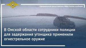 В Омской области сотрудники полиции для задержания угонщика применили огнестрельное оружие