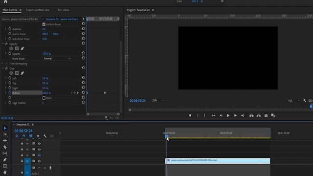 Crop effect in premiere pro | How To Crop Video In Premiere Pro - Adobe Premiere Crop