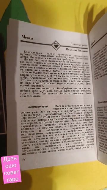 ошо дзен таро расклад карта дня совет суть дня карты гороскоп смотреть онлайн