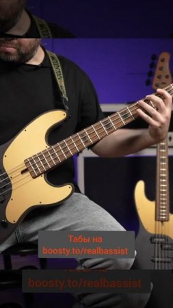 Позитивный панк-рок на басу Schecter серии Diamond. Очень стильная классика с конфигурацией #pjbass