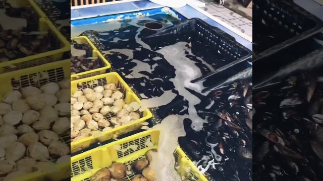 Устричные фермы Франции. Лёкат