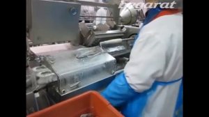 Автоматическая сосисочная линия Vemag состоящая из шприца, сосисочной линии и делителя сосисок