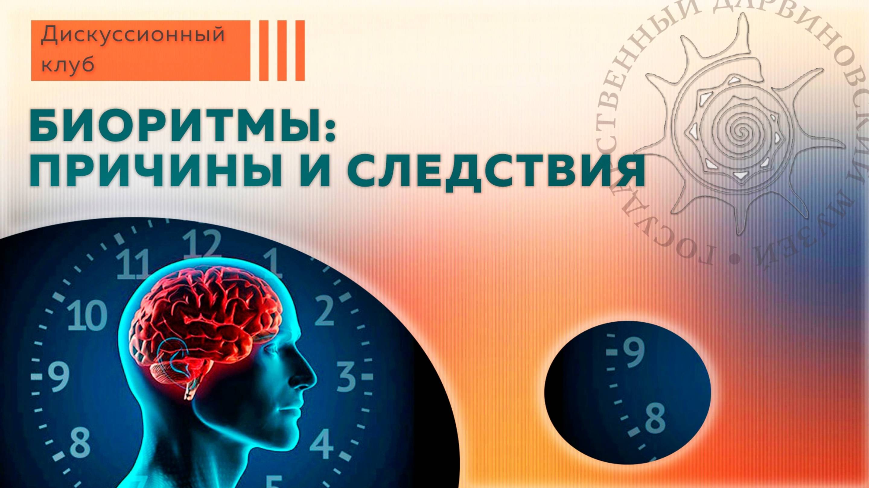 Биоритмы: причины и следствия