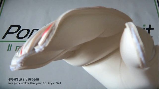 Guanti da portiere Puma evoSPEED 1 3 Dragon смотреть онлайн