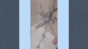 Виды душевых переключений на стойках с тропическим душем 🚿